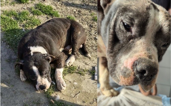 649659227_1224960009809247_1816486371840622685_n 22