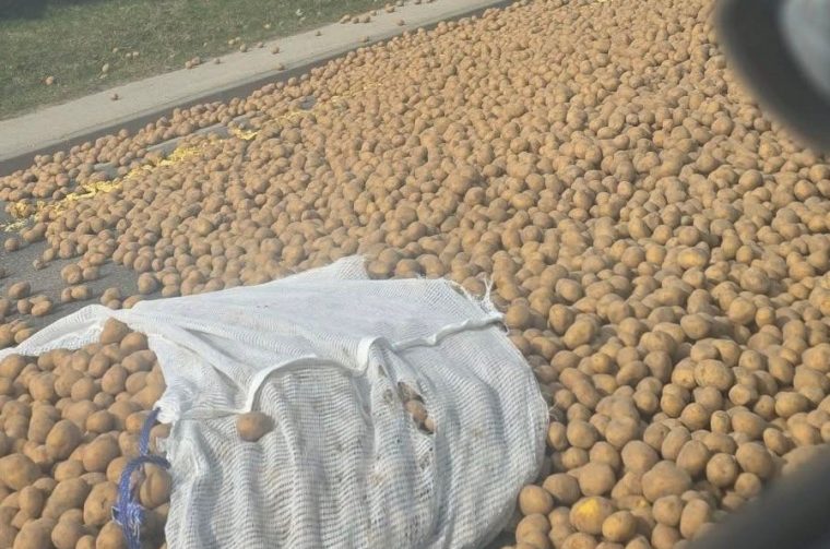 649841008_2043500089550613_7993837436276344057_n 22