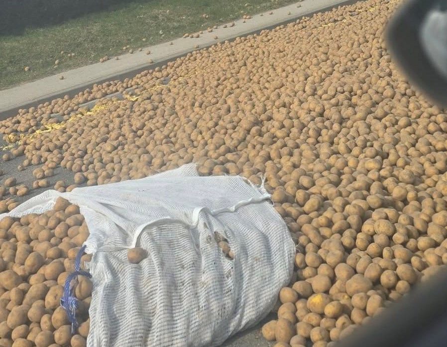 649841008_2043500089550613_7993837436276344057_n 22 649841008_2043500089550613_7993837436276344057_n 22