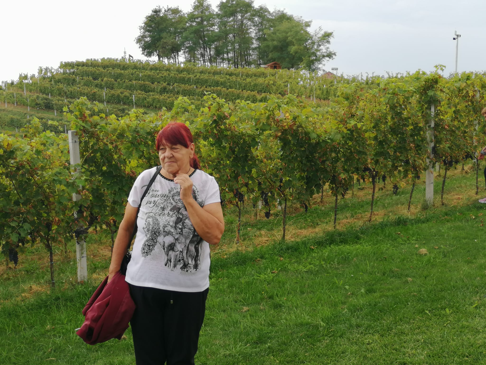 Image 5849475 (auto)