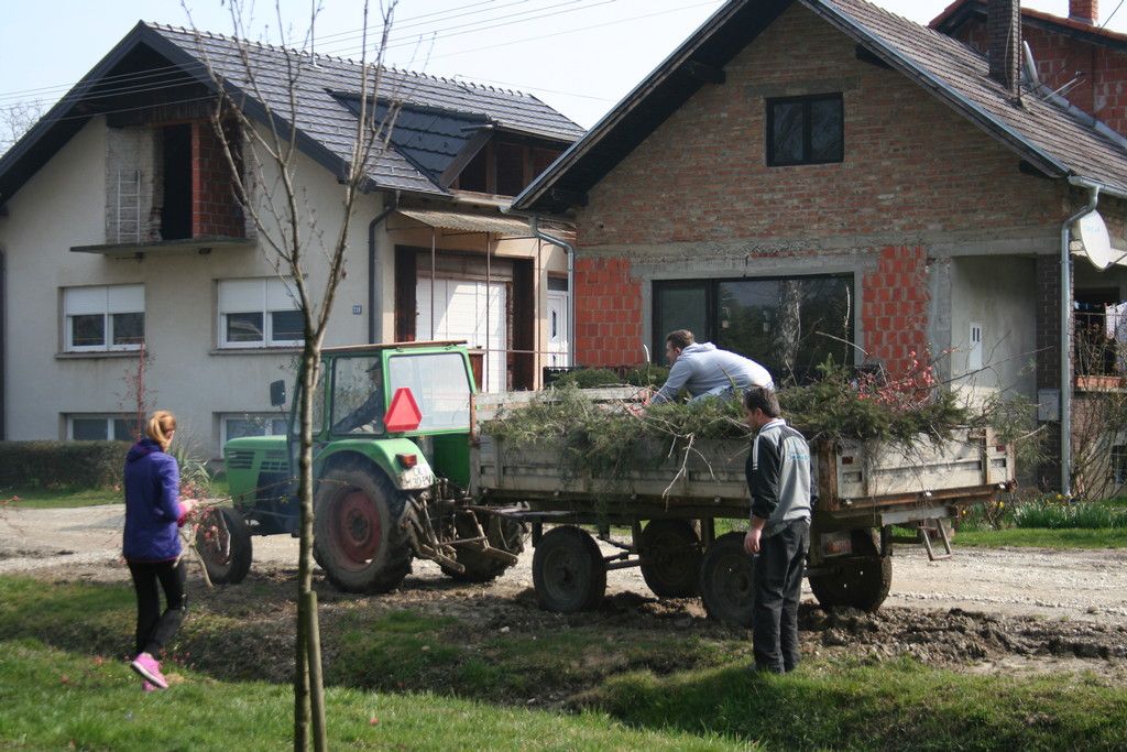 fotografija00026645803