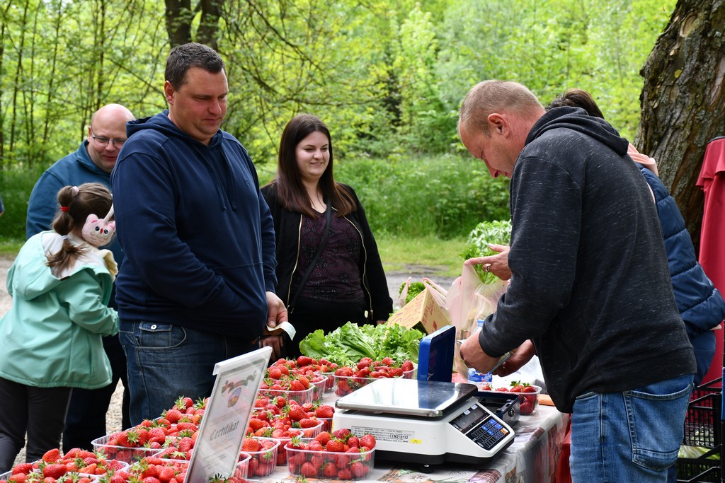 ČAKOVEČKI SAJAM SRIJEDOM Najveći interes i dalje vlada za presadnice
