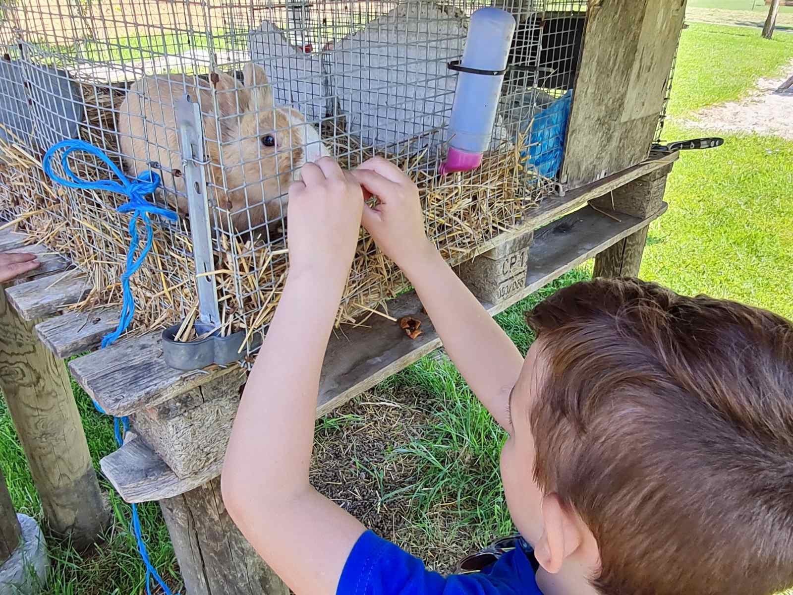 Mališani uživali na izletu: ‘Pčelice’ u letu po gornjem Međimurju