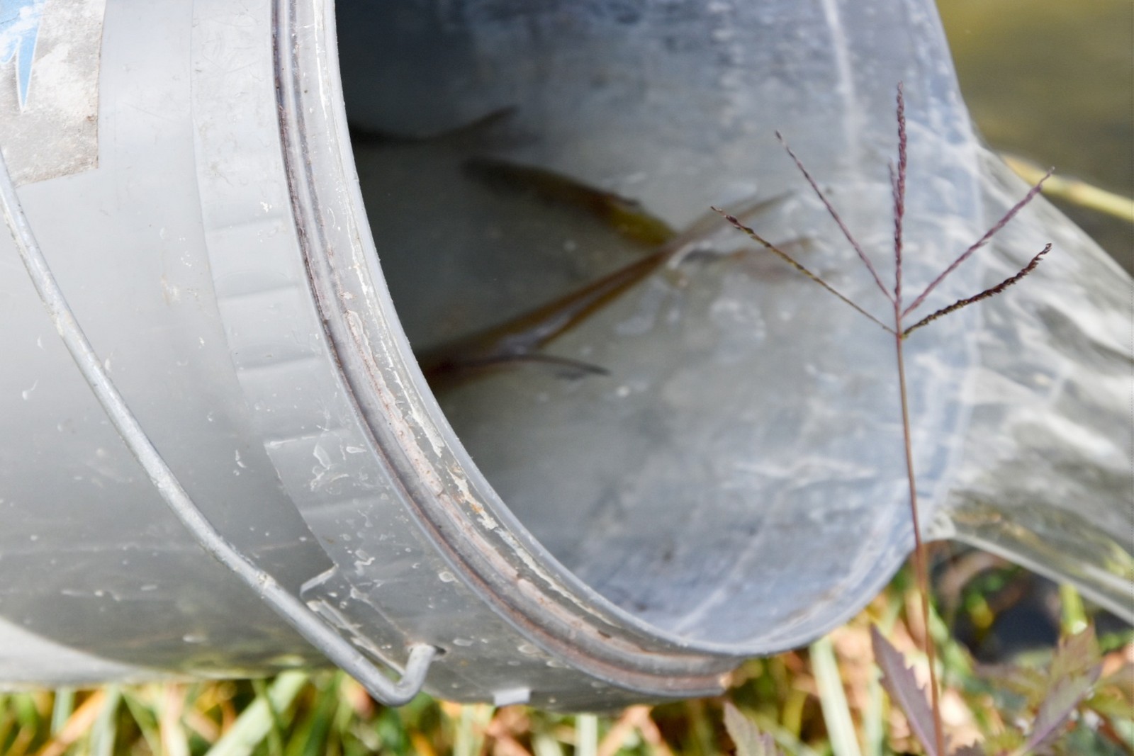 FOTO Na društvenom natjecanju u ribolovu pobijedio Tomislav Filipović s 2,86 kilograma ribe