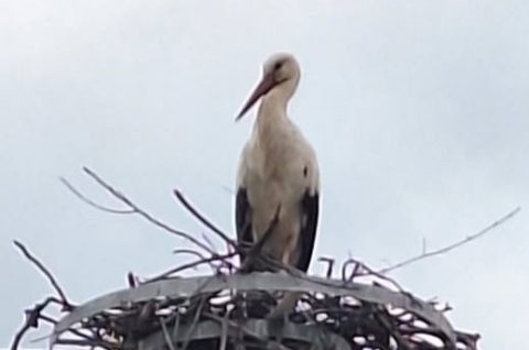 650785278_1596868311605805_5538232823543164542_n