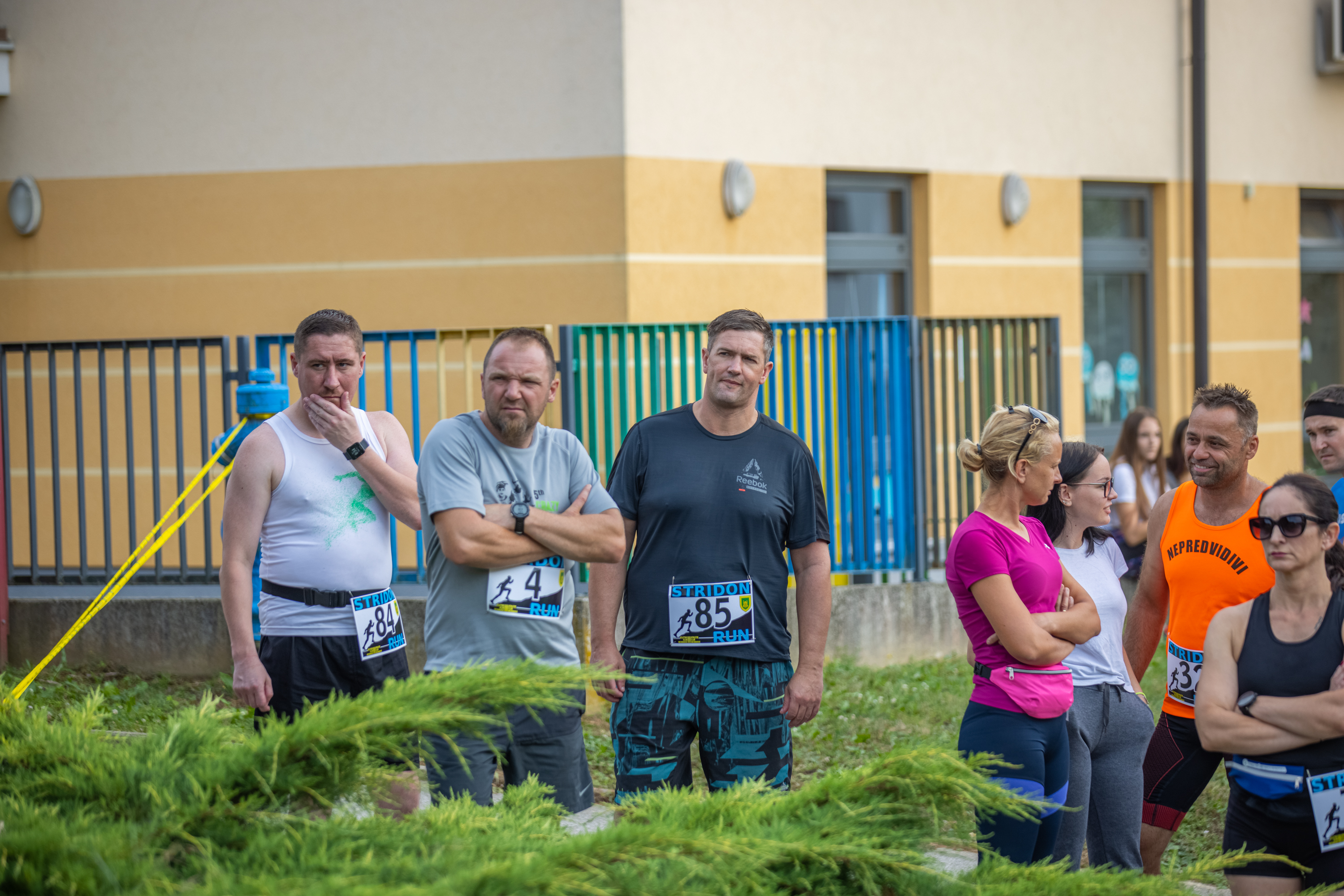 Image 5002774 (auto)