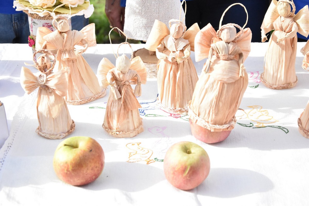 FOTO Ukusne i zdrave jabuke, zakuska i zabavni program za posjetitelje Izložbe starih i novijih sorti jabuka FOTO Ukusne i zdrave jabuke, zakuska i zabavni program za posjetitelje Izložbe starih i novijih sorti jabuka