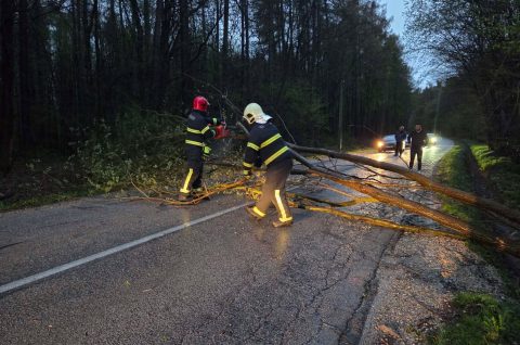 656585481_1383735093796446_6984244483969393360_n 656585481_1383735093796446_6984244483969393360_n