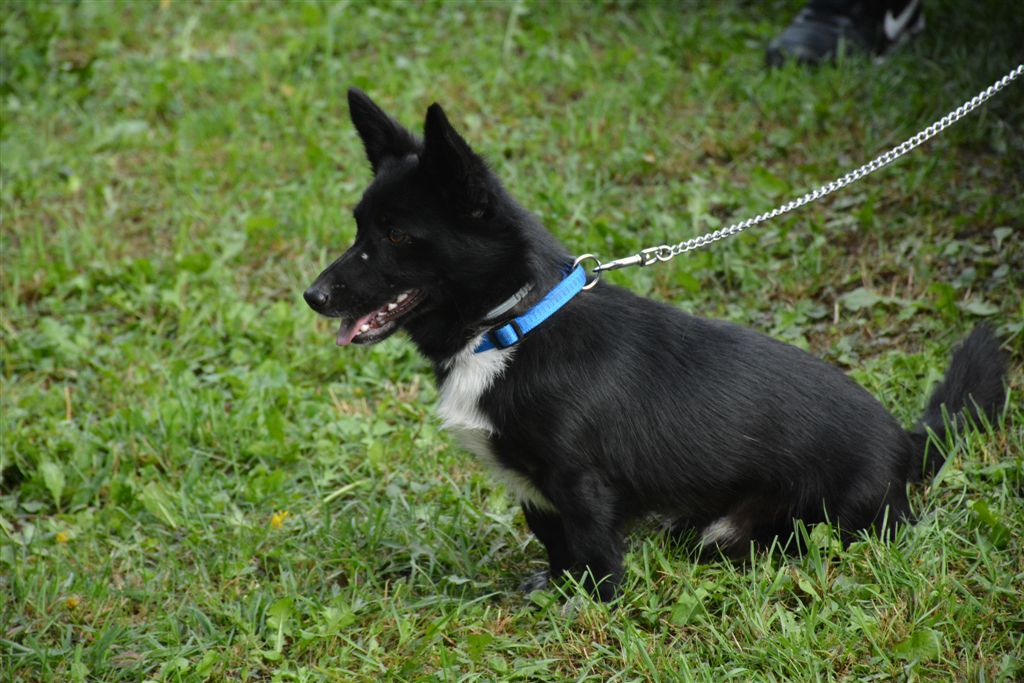 dsc4196kopijakopija764887