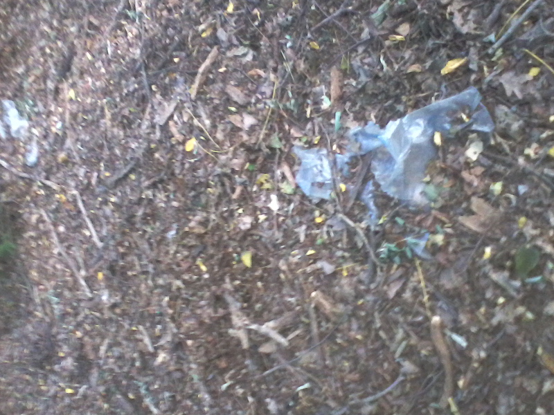 fotografija0036891808