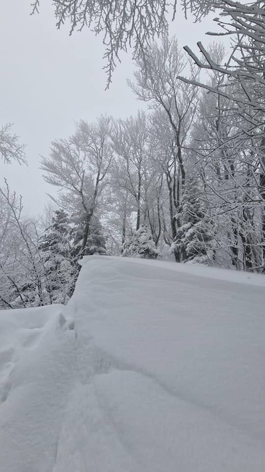 Image 5616151 (auto)