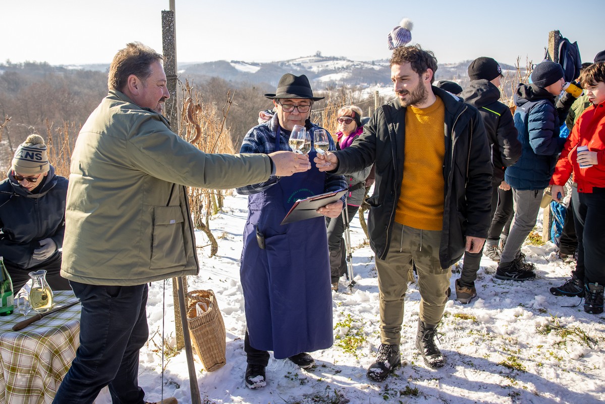 Vincekovo 2024., Štrigova Vincekovo 2024., Štrigova