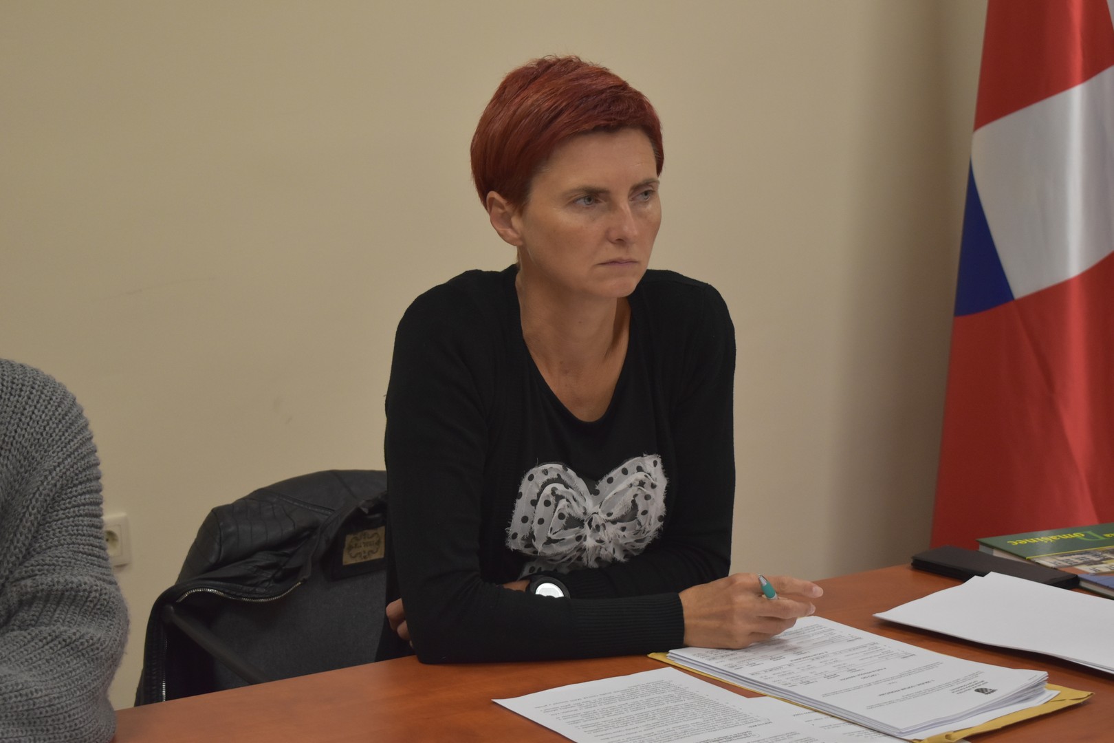 OPĆINA DOMAŠINEC Od iduće godine i pomoć za novorođenčad