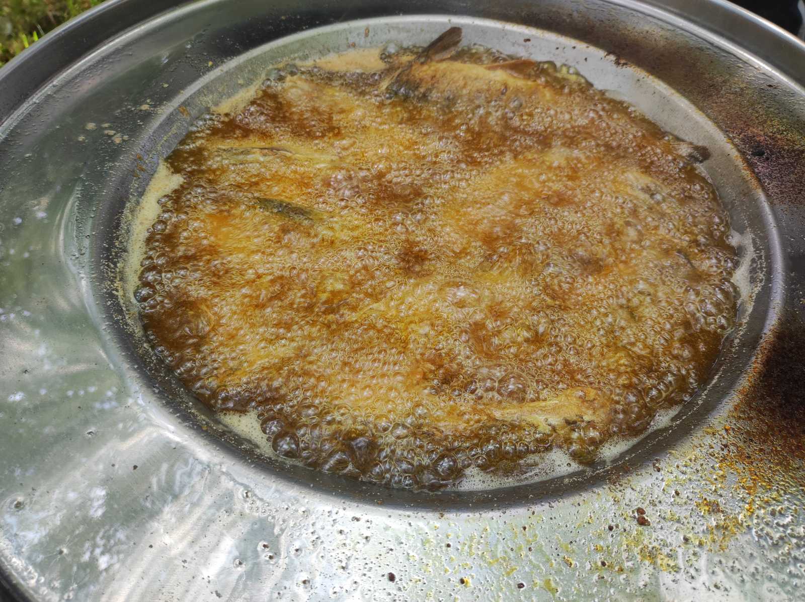 FOTO I VIDEO Kotoriba: Miris ribe, fina hrana i pravi užitak na Danima ribe i šibe