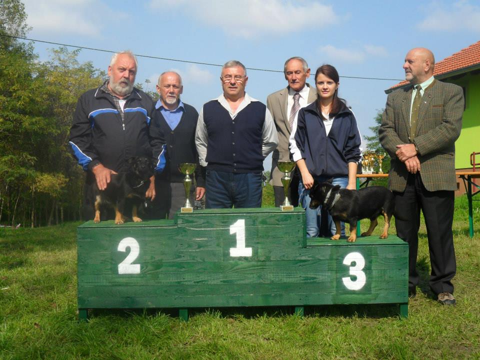 1063576432400030111654719772149