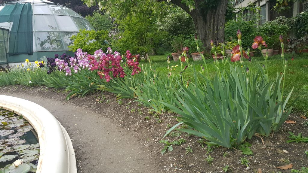 20160510140026509857