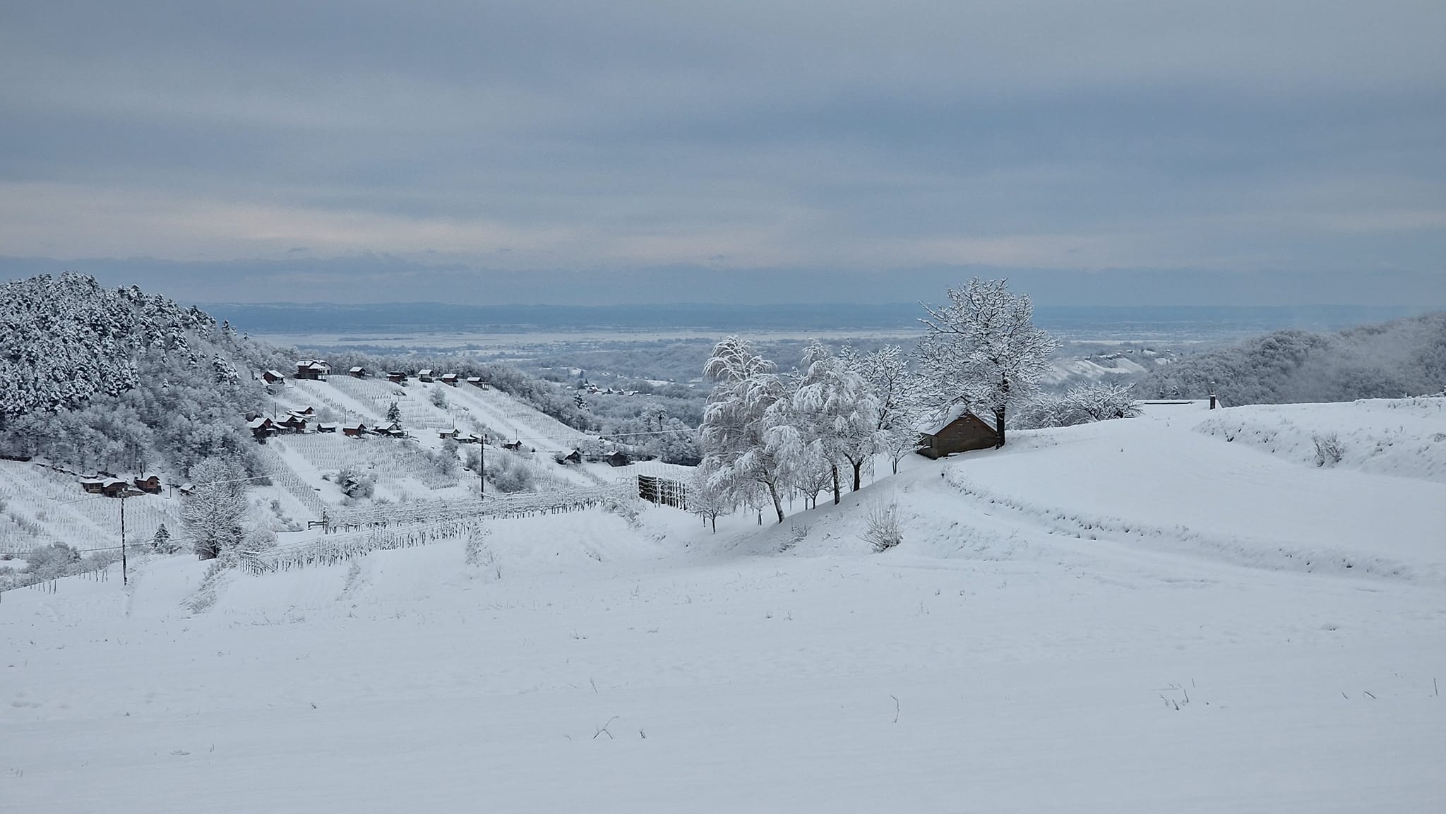 Image 5616143 (auto)