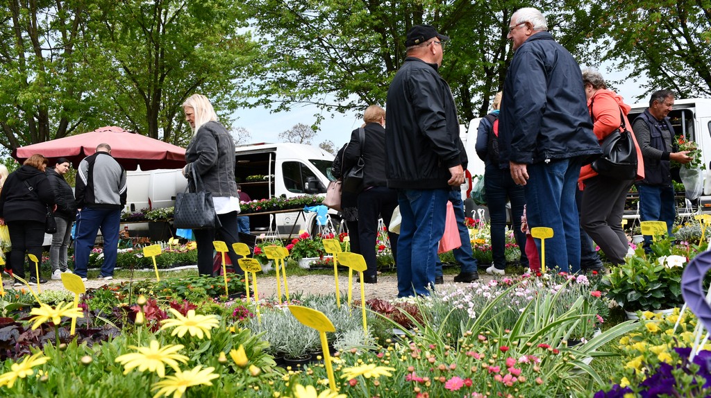 ČAKOVEČKI SAJAM SRIJEDOM Najveći interes i dalje vlada za presadnice