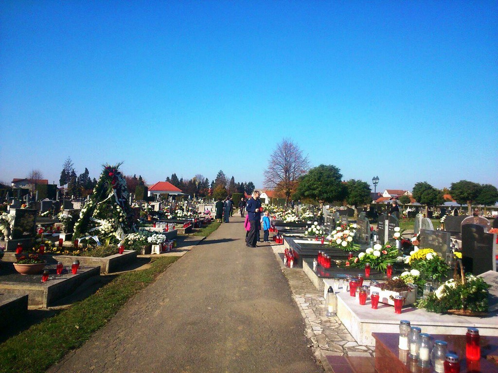 2efac7dcaa8955081b9c1b174718c92