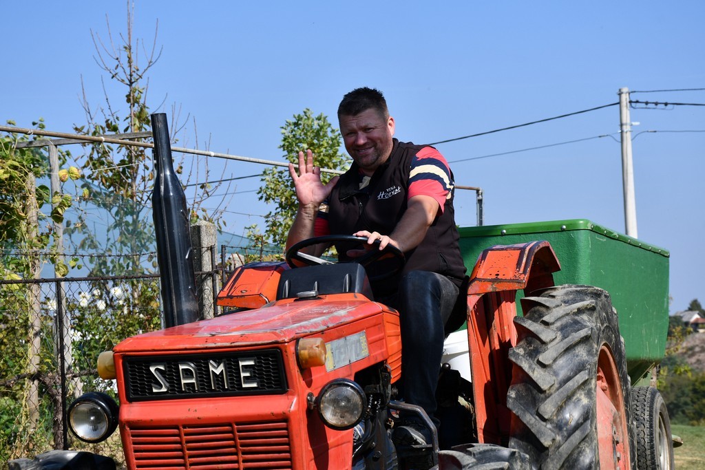 Vinarija Horvat, berba