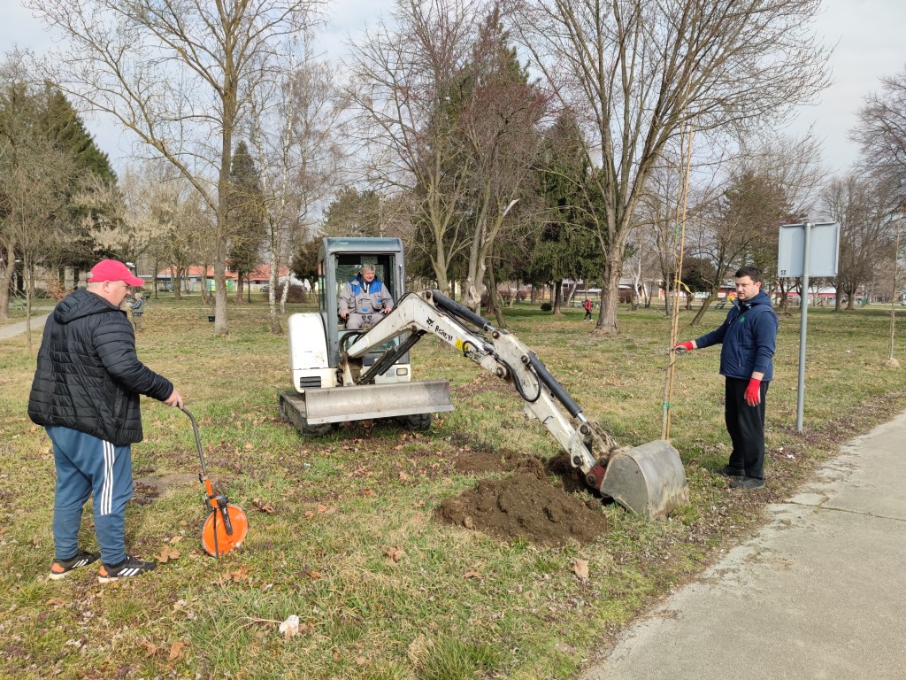 Belica, sadnja parka 2022