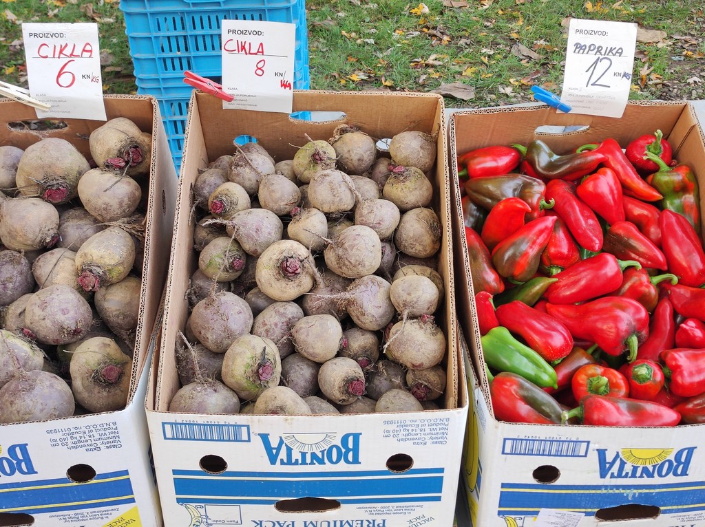 SAJAM SRIJEDOM Jeste li već probali meksički krastavac ili čajot?