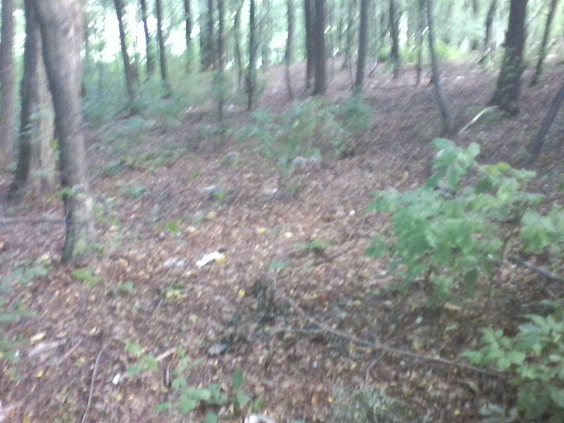 fotografija0030568205