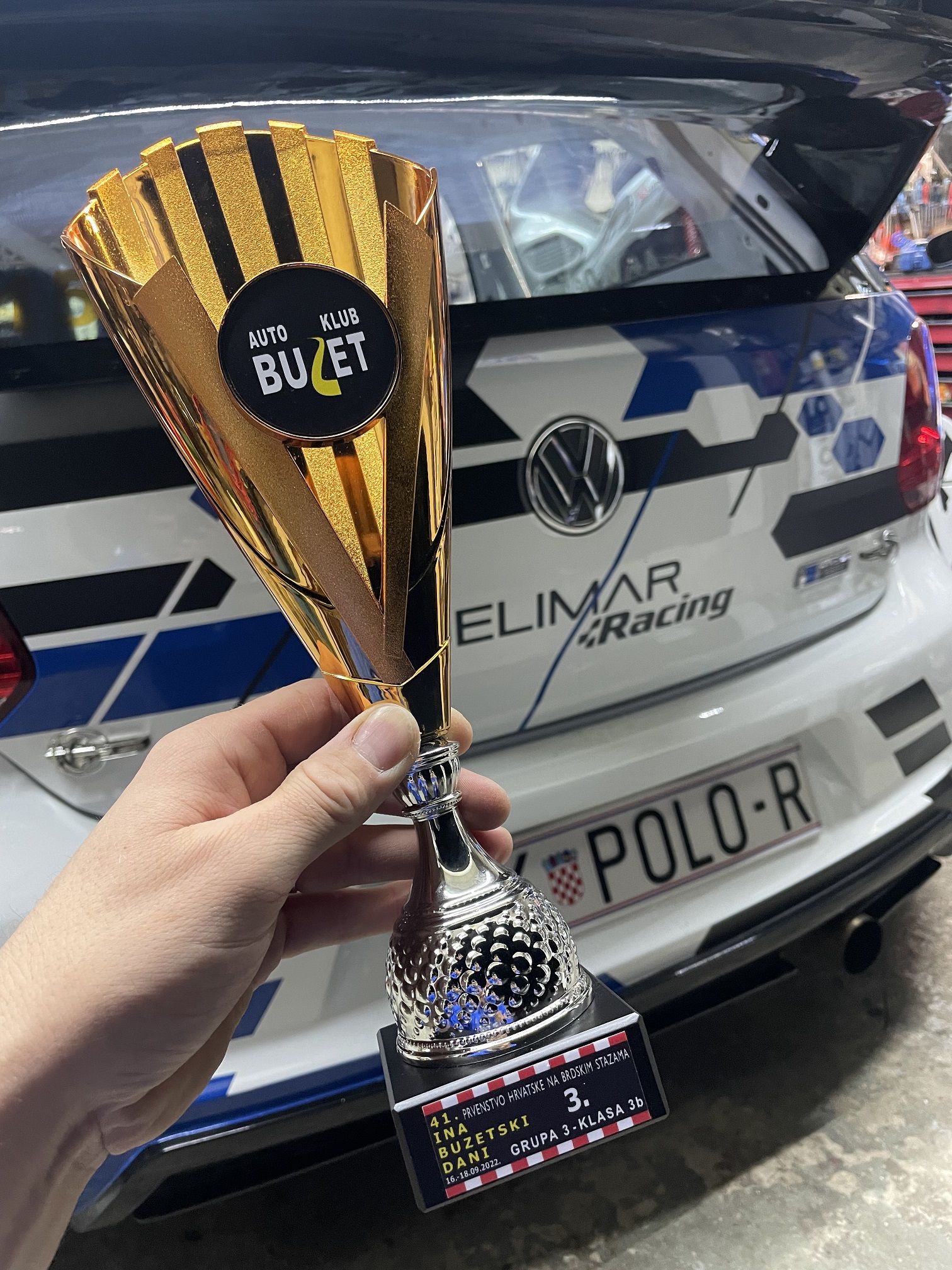 Vedran Delimar – Buzet