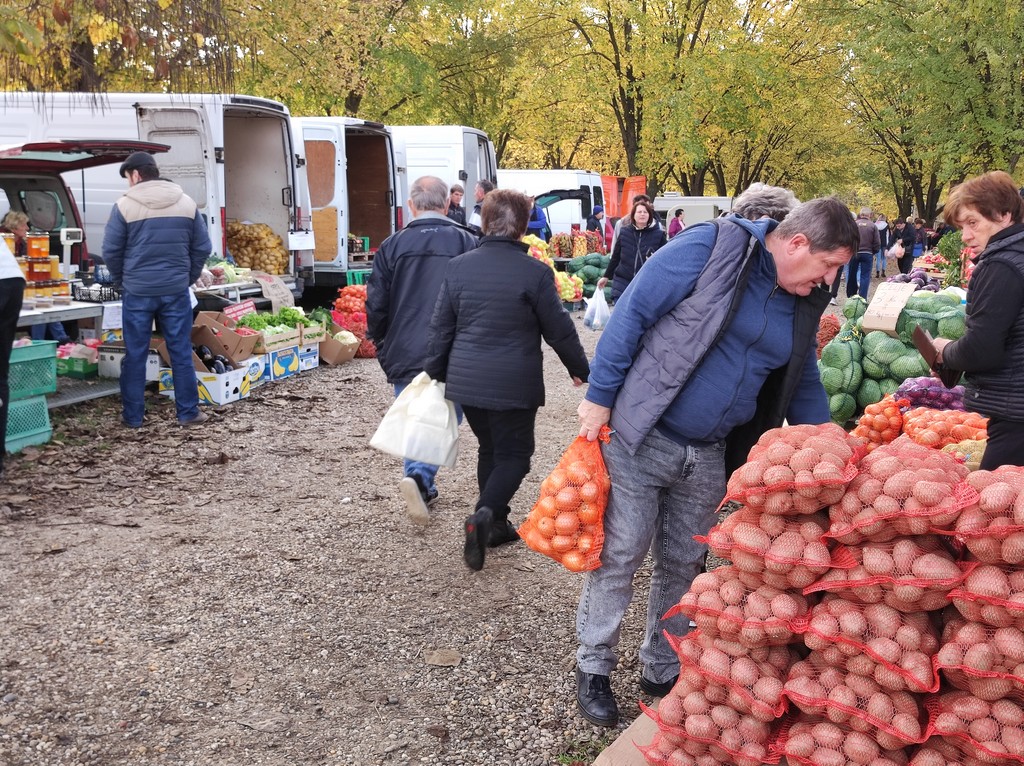 SAJAM SRIJEDOM Jeste li već probali meksički krastavac ili čajot?