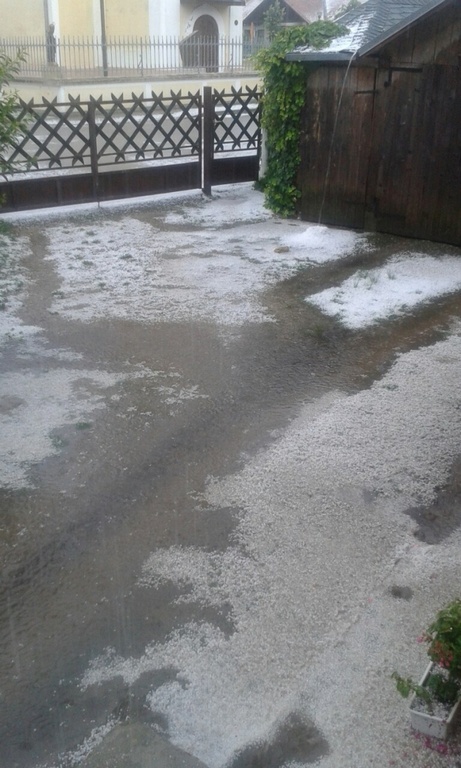 tucacirkovljan882914476701