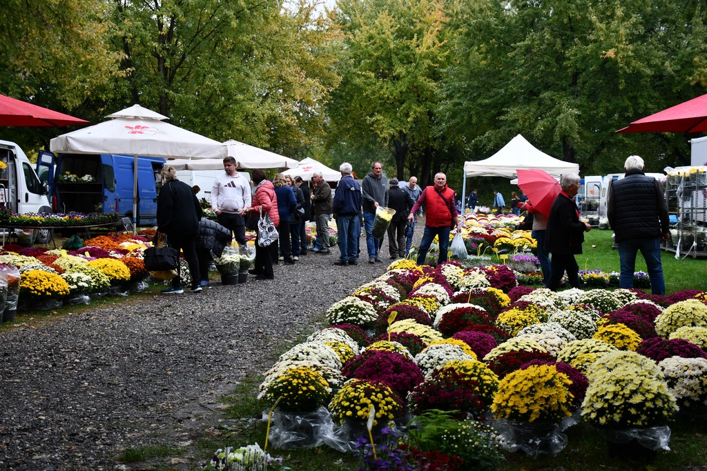 IMA SVEGA I SVAČEGA Čakovečki sajam srijedom