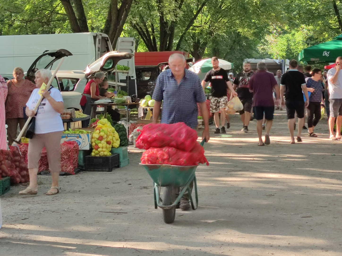 Image 5810835 (auto)