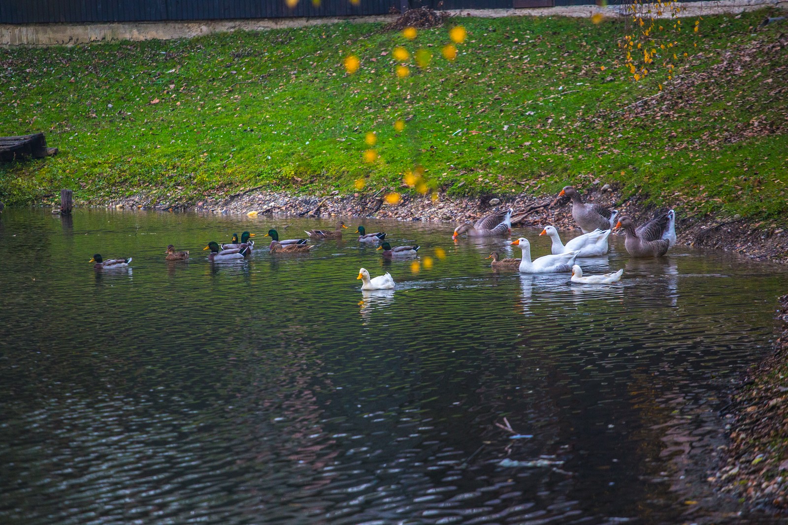 Međimurje se predalo jeseni