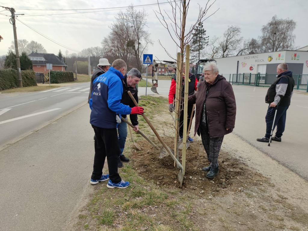 Belica, sadnja parka 2022
