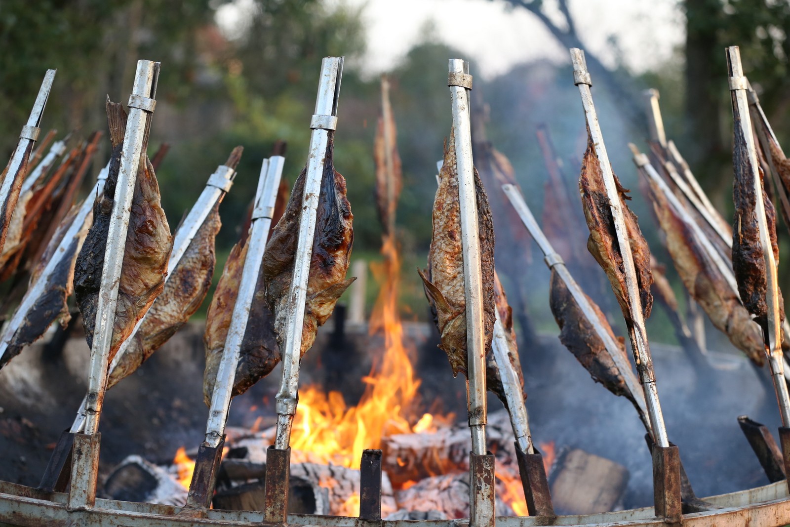 Odlična atmosfera: Klapa Kampanel zabavlja Kotoripčane i njihove goste