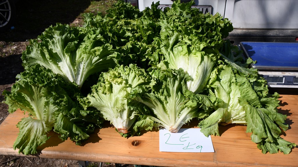 Čakovečkim sajmom zavladalo je blagdansko ozračje