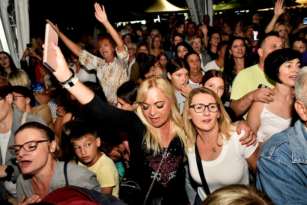 Image 5462308 (auto)