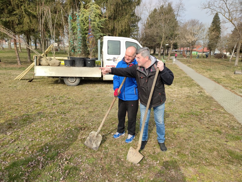 Belica, sadnja parka 2022