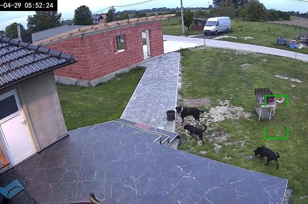 682693191_1145426057721711_8059786169377623686_n