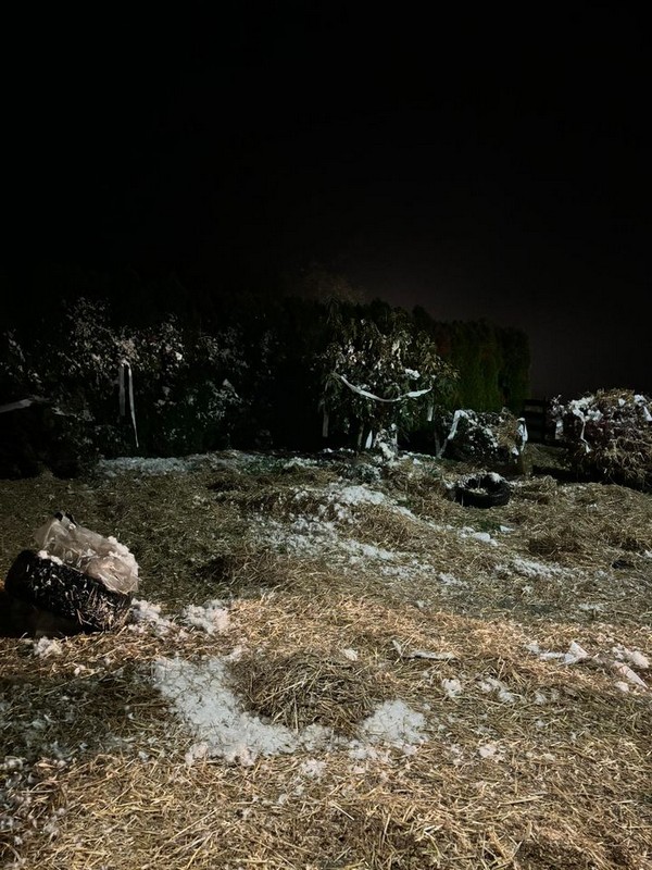 NATEPANJE, Silvijo i Tena Vurušić