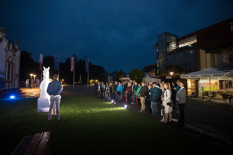 Zrinski Art Festival