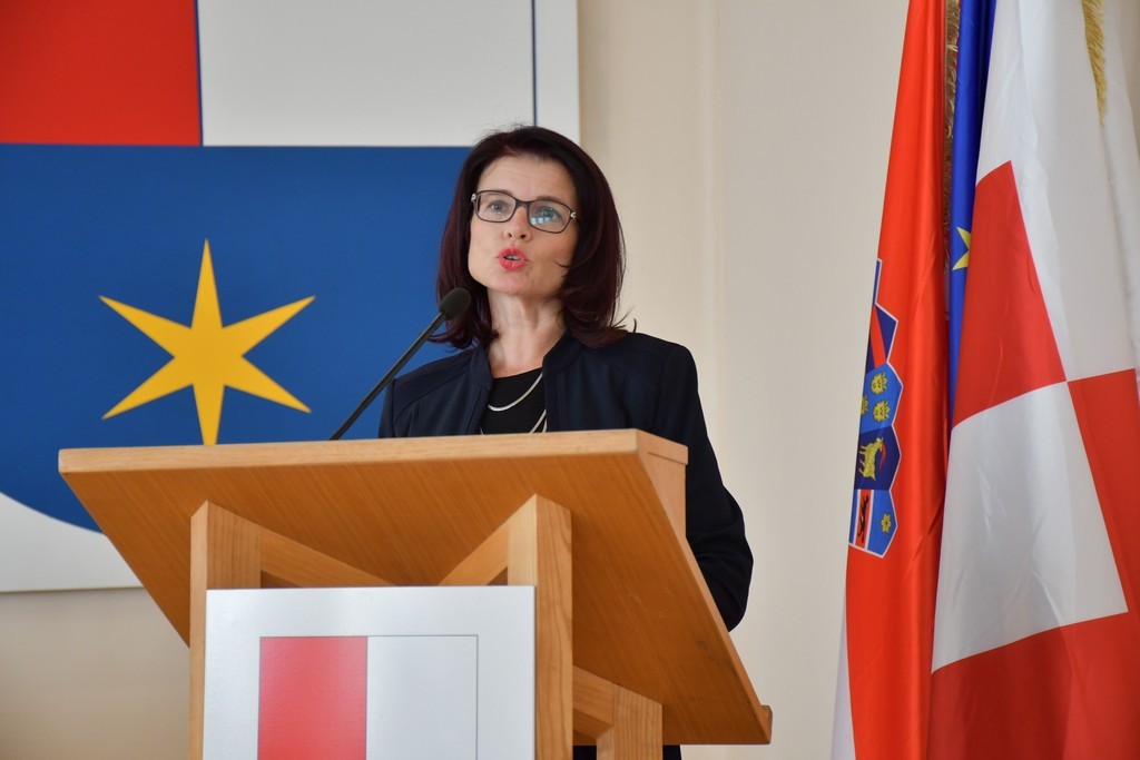 CENTRALIZACIJA BOLNICA Međimurska županija traži ocjenu ustavnosti zakona kojima osnivačka prava nad bolnicama preuzima država CENTRALIZACIJA BOLNICA Međimurska županija traži ocjenu ustavnosti zakona kojima osnivačka prava nad bolnicama preuzima država