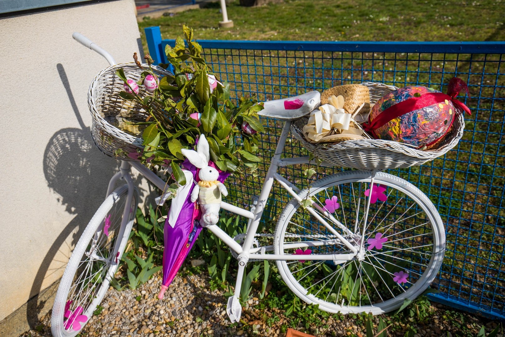 Proljetna cvjetna rapsodija u Međimurju iz objektiva Miroslave Novak Hranjec