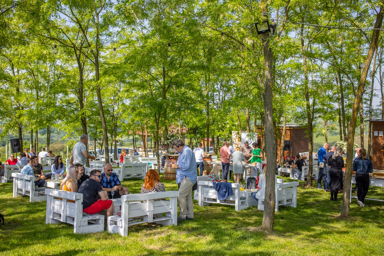 Na Mađerkinom bregu održan Pjenušavi doručak u vinogradu