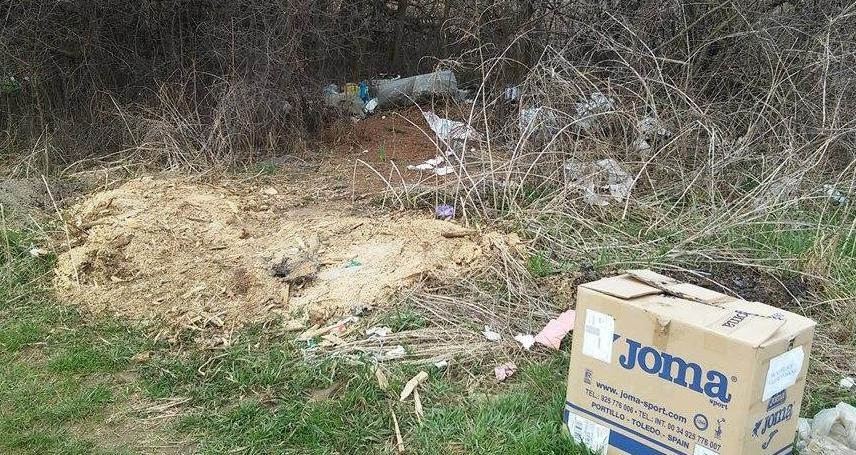 955f41d85d38f63457f6ffb56b879d6