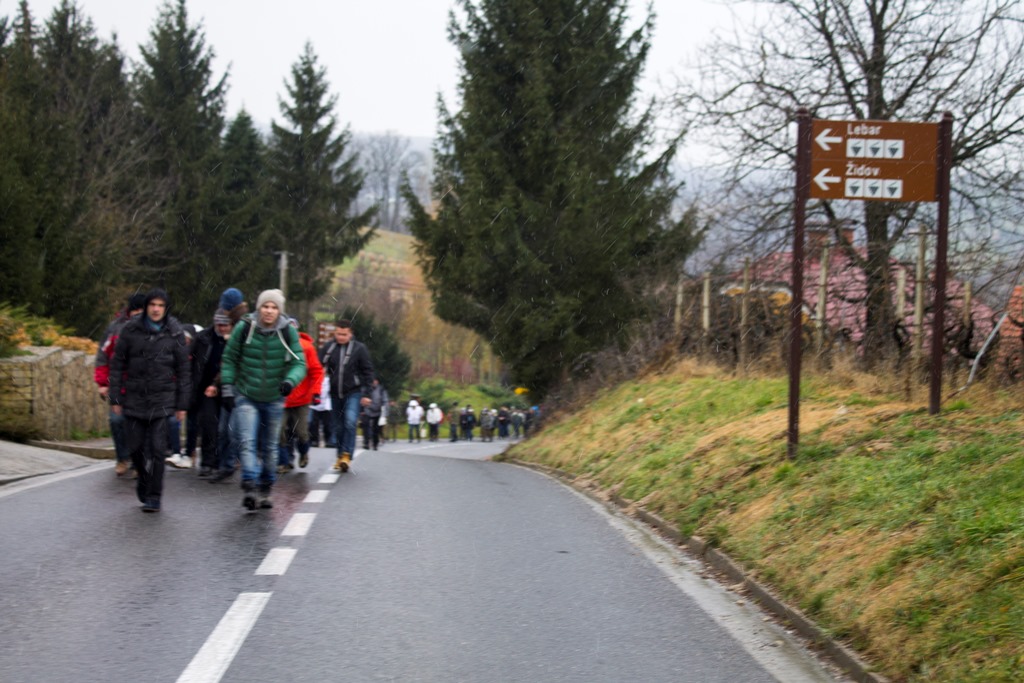 img8437vincekovo621343