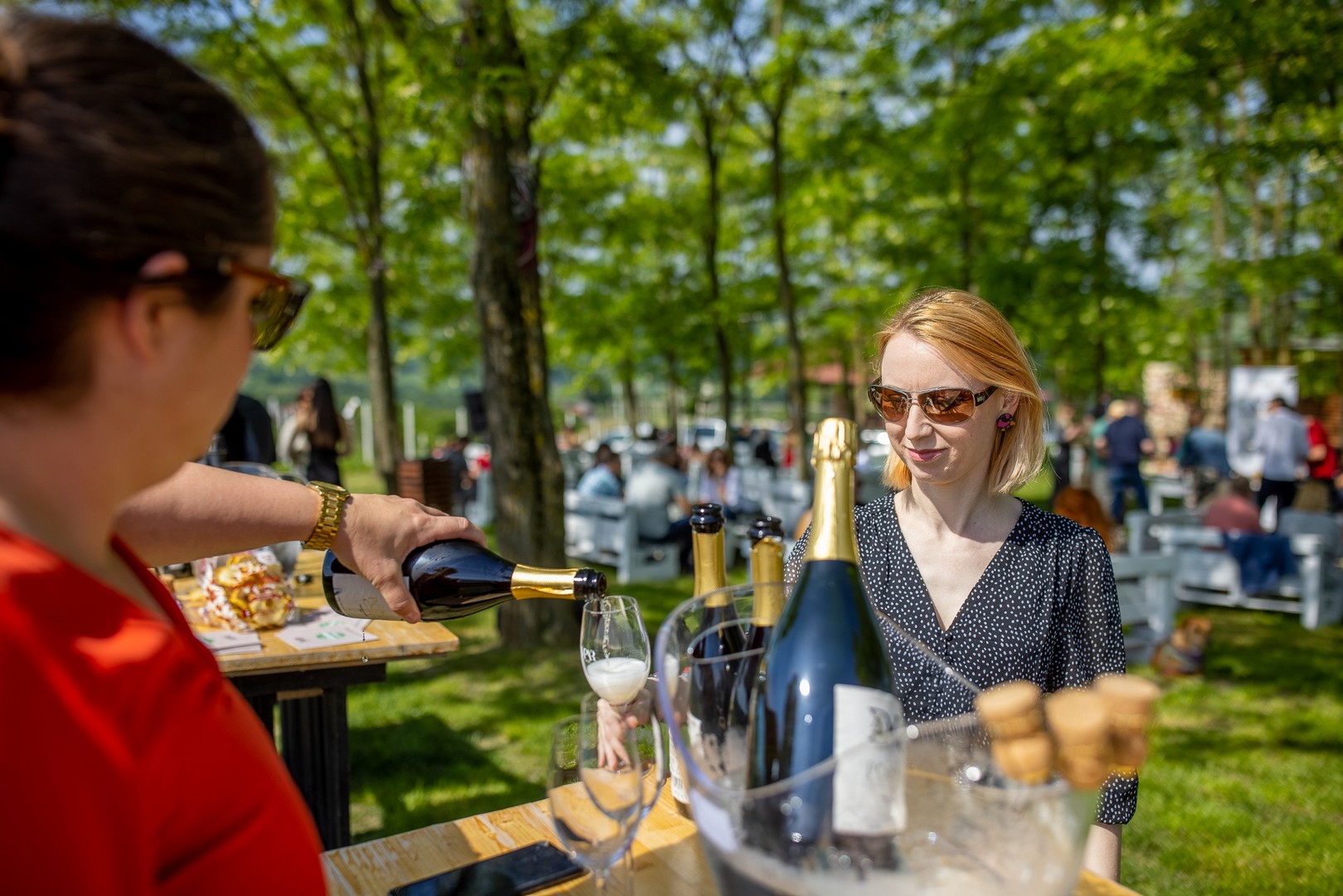 Na Mađerkinom bregu održan Pjenušavi doručak u vinogradu
