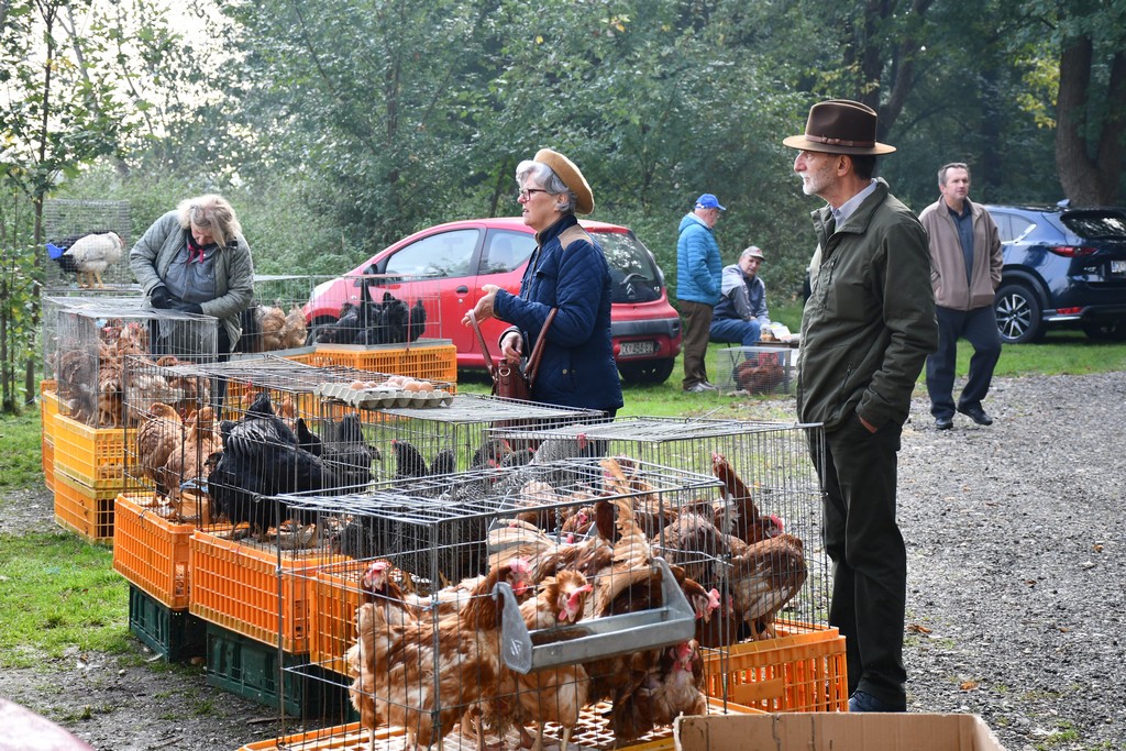 FOTO S dolaskom hladnijih dana povećan interes za kupnju drva za ogrjev