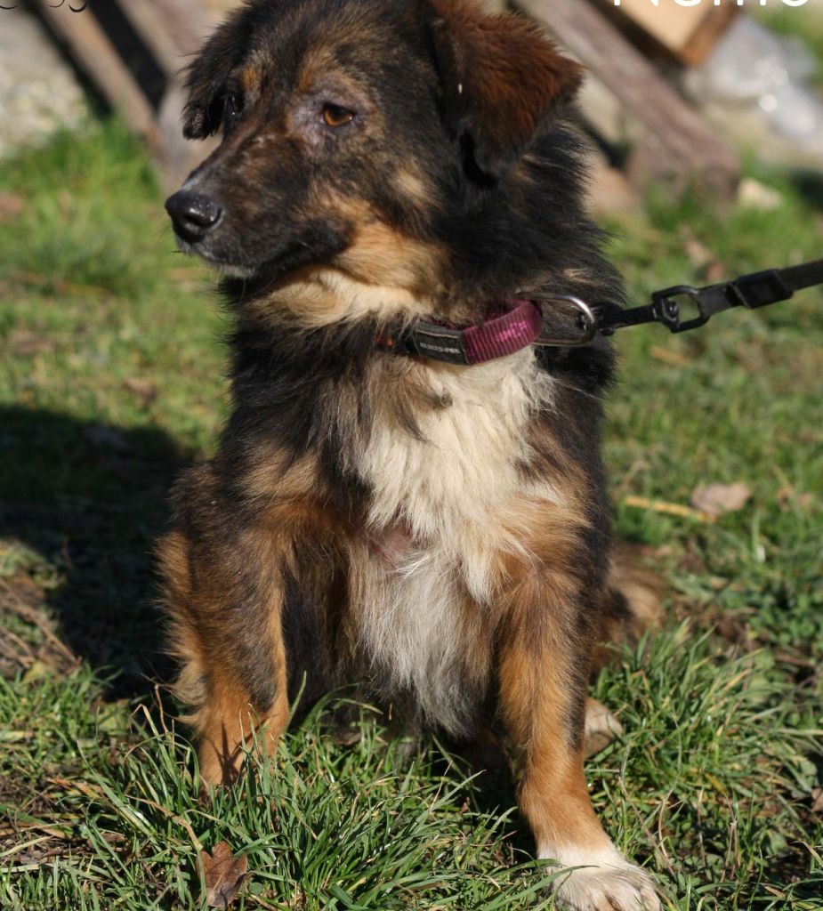 39023a6fbb1f53abf13cdf877663586