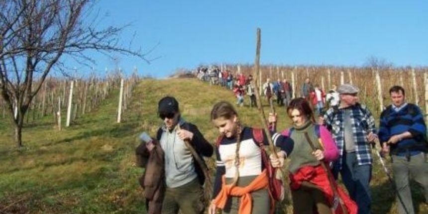 470vincekovpohod718440 470vincekovpohod718440